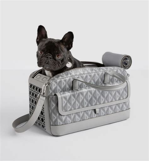 dior dog carrier